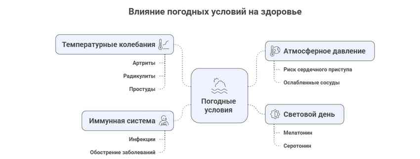 Сезонное Обострение Хронических Заболеваний У Пожилых Людей