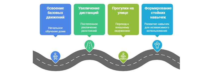 Ходунки И Роллаторы Для Пожилых Людей
